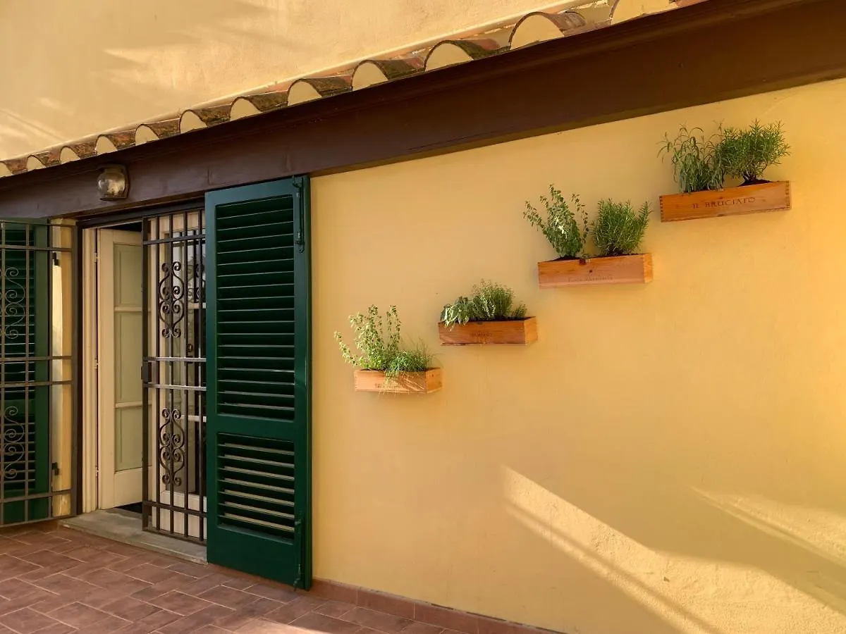 La Terrazza Di Via Elisa Bed & Breakfast Lucca